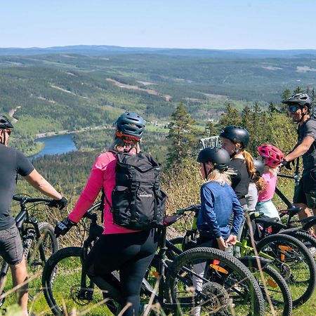 Lyxig Stuga Pa Branaesberget Sysslebäck Exteriér fotografie