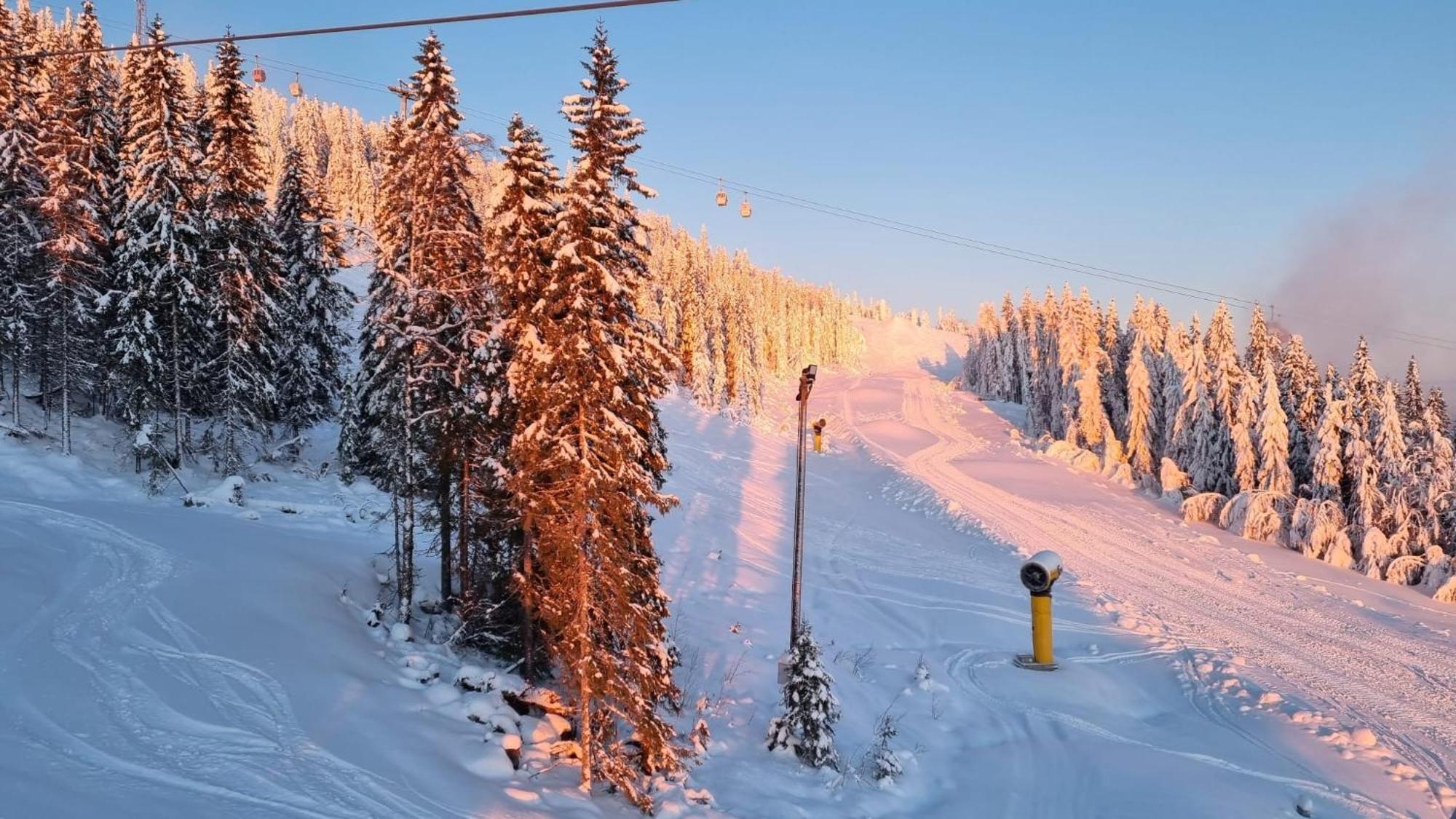 Lyxig Stuga Pa Branaesberget Sysslebäck Exteriér fotografie